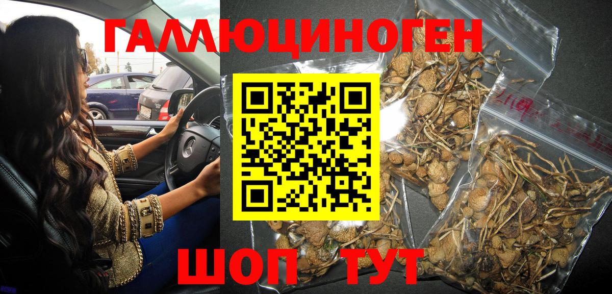 Галлюциногенные грибы мухоморы Ноябрьск