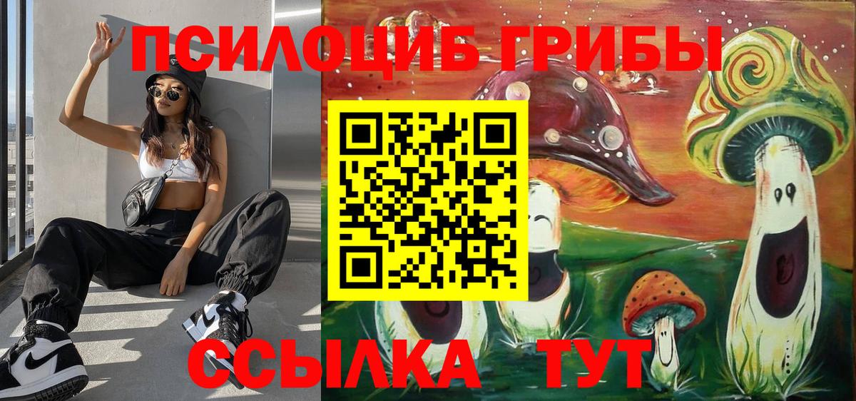 Галлюциногенные грибы Psilocybe  купить наркотики сайты  Ноябрьск  Вход с VPN 
